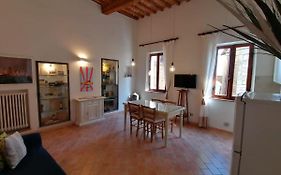 Central Apartment